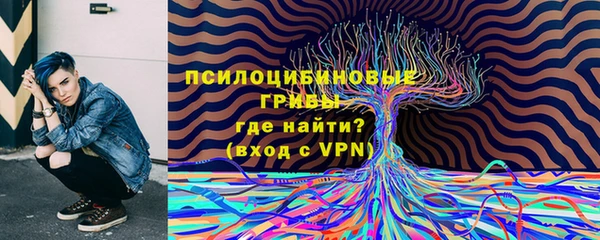 шишки Богданович